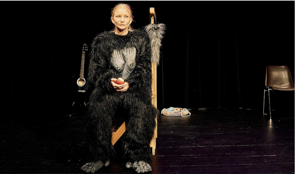 Vorarlberger Landestheater Bregenz: King Kong Vivienne